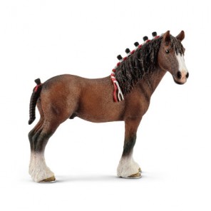 CASTRONE CLYDESDALE